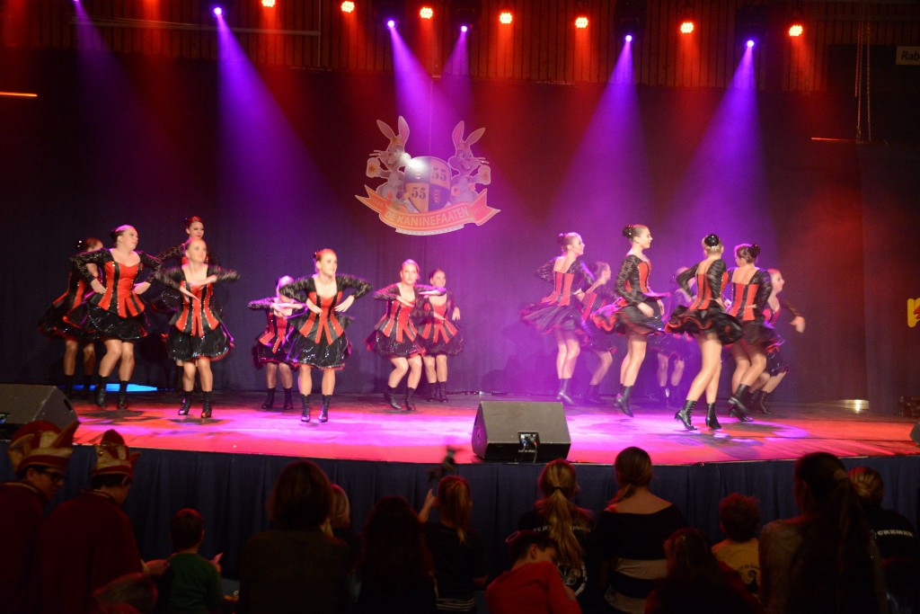 ../Images/Dansmarieke festival 2015 258.jpg